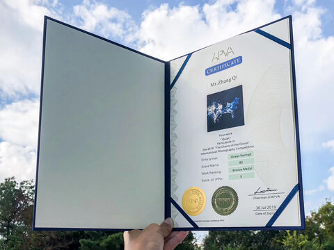 APVA Charm of the Ocean 2019 Bronze Medal certificate