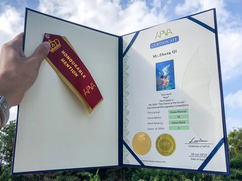 APVA Charm of the Ocean 2019 Honourable Mention certificate