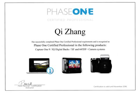 Phase One Certified Professional certificate, 2016